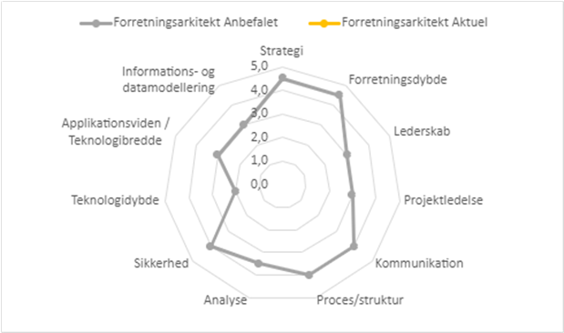 Kompetence Profil Forretningsarkitekt