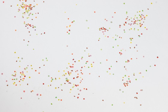 Vi fejrer genåbningen med 25 % rabat på udvalgte kurser