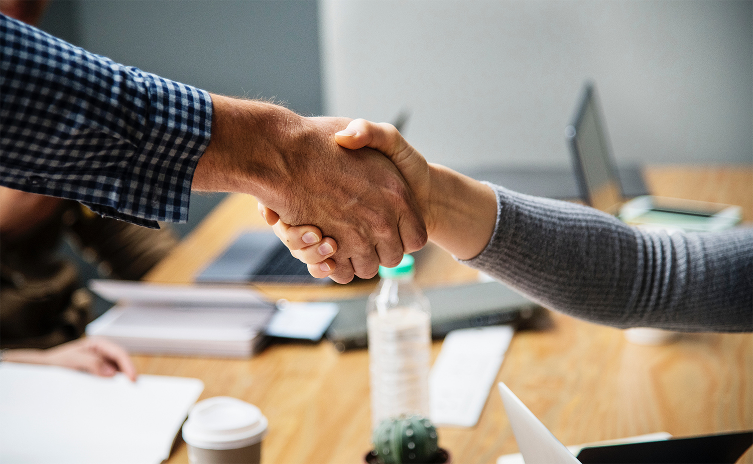 DANSK IT og IFDC bliver partnere på VeriSM i Norden